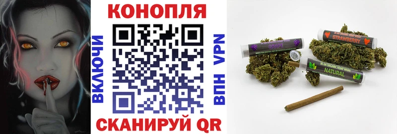 Канабис OG Kush  как найти закладки  Новозыбков 